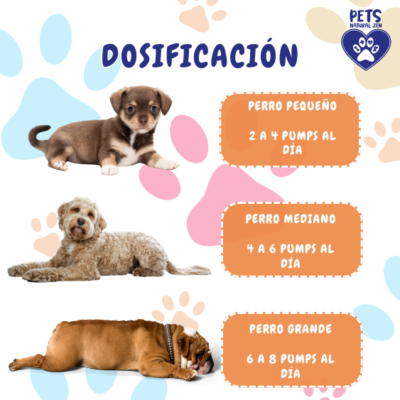 Kit Par Perfecto: 2 Boosts (Salmón y Pollo)