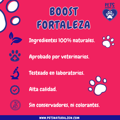 Boost Fortaleza (sabor costilla)