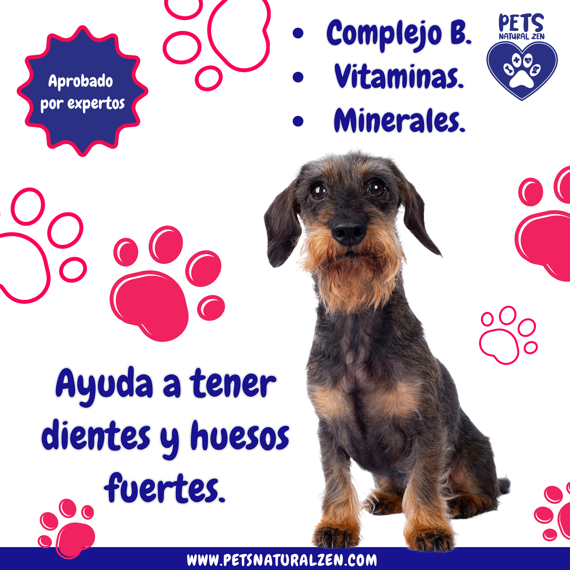 Holistic Pet Grooming Zen Grooming Mobile Groomer Zen Dog Grooming